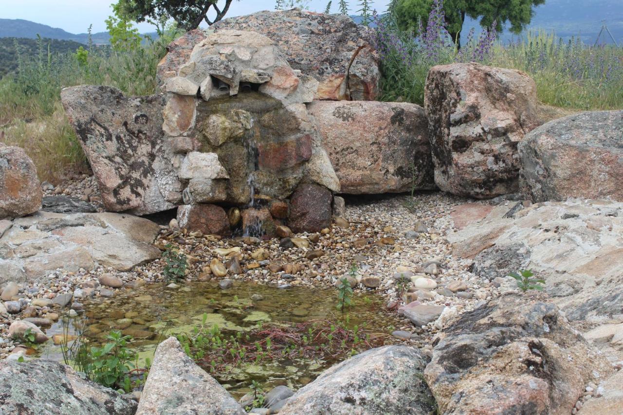 Finca El Enebro Valdemorillo Dış mekan fotoğraf